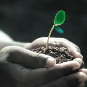 Crecimiento empresarial